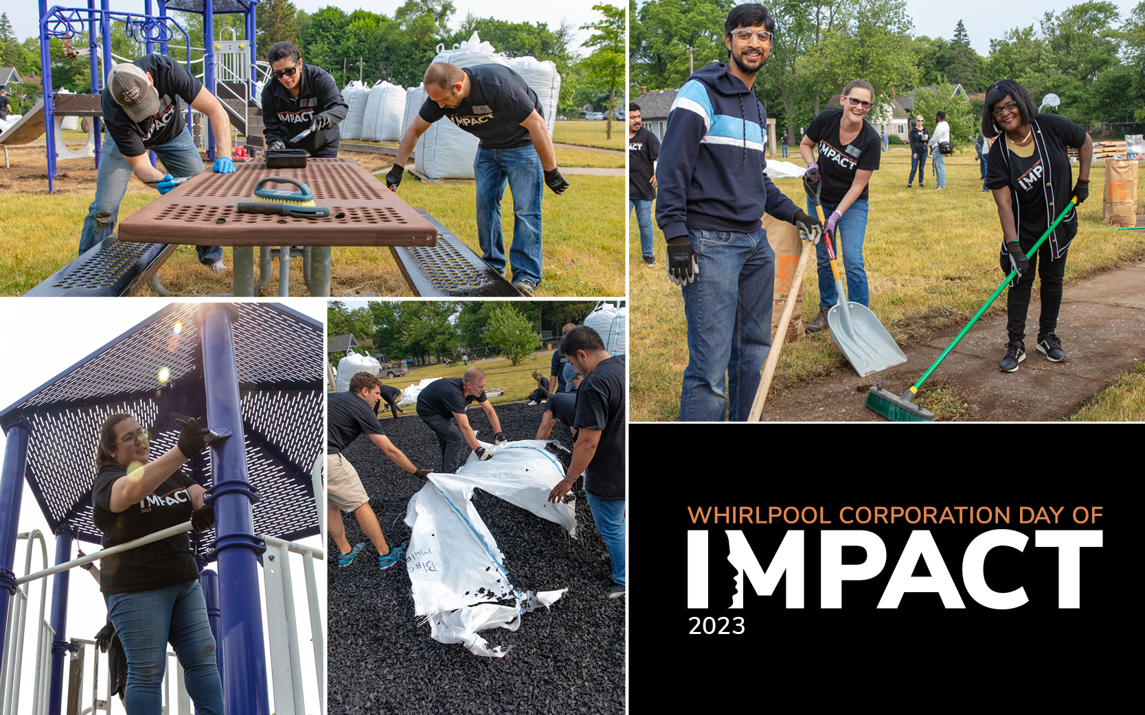 Collage image of volunteers cleaning up the park